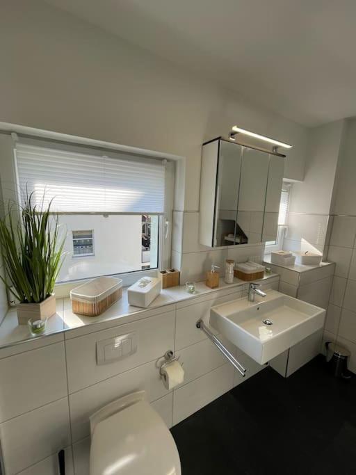 Komfortable Ferienwohnung In Halle-Kroellwitz Halle  Buitenkant foto